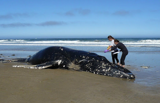 unnamed - 2025-05-29T171326.984