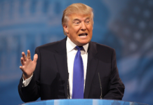 Trump Claims Greenland Victory at Davos While Postponing European Tariffs