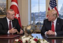 Erdoğan Urges Revitalization of Türkiye-US Ties in Diplomatic Push